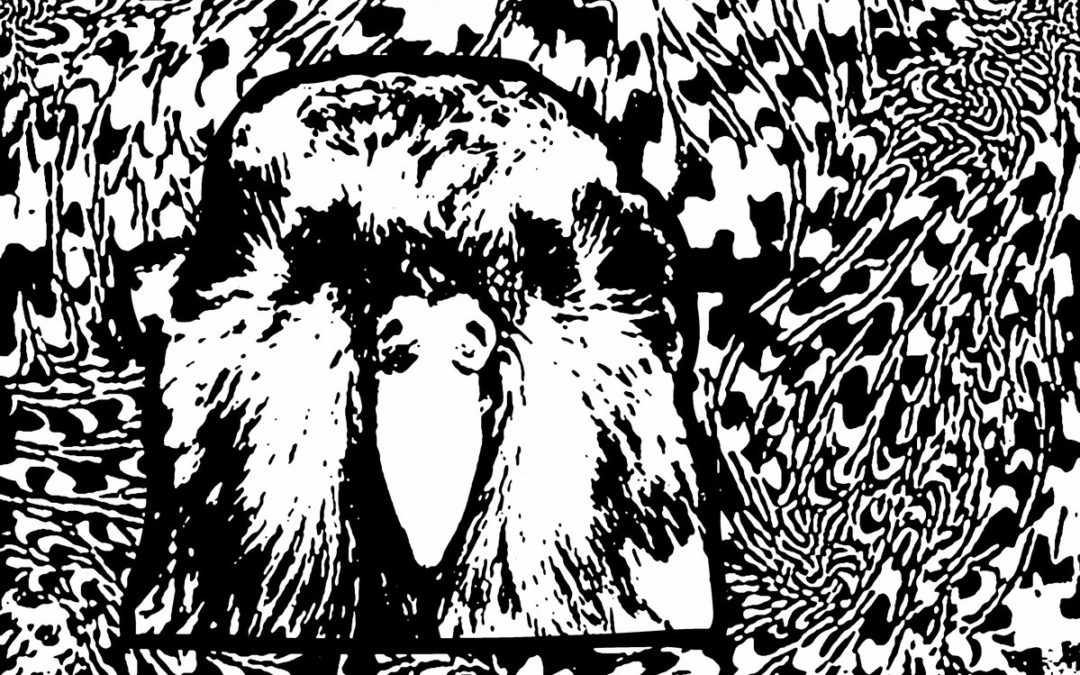 Observer: How Green is My Toupee & Boar Alarm