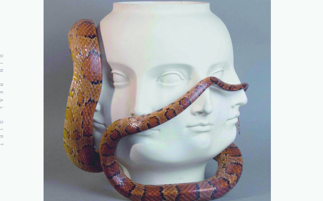 DIN, “Real Dirt”