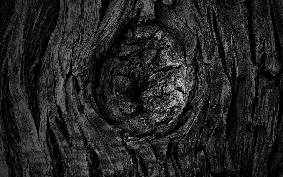 Observer: EFF DST & Nova Guardia