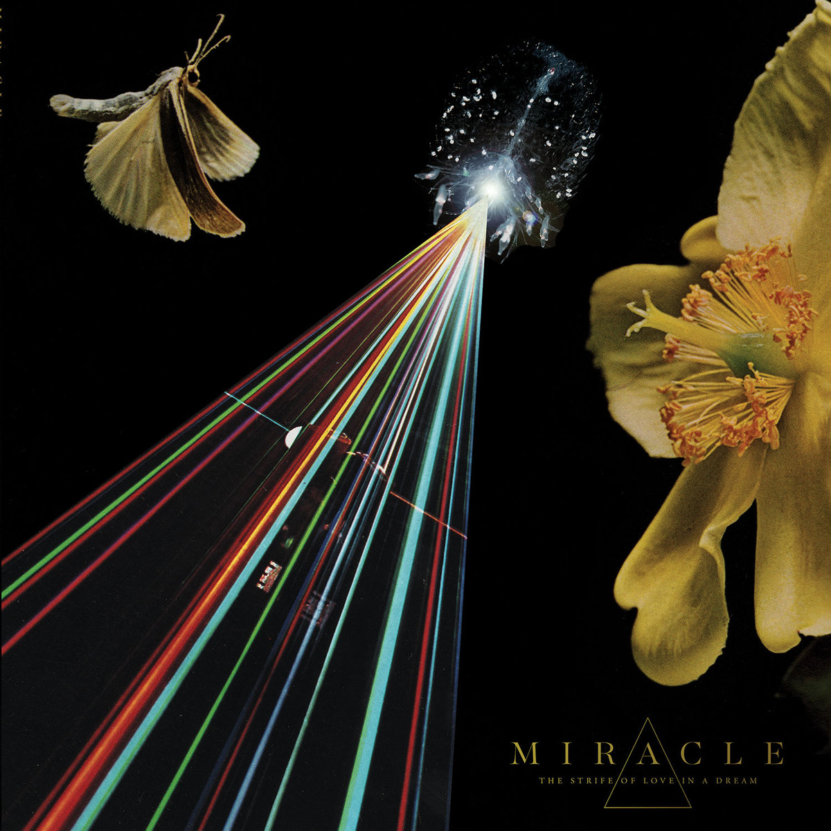 a1388726138_10 Miracle, "The Strife Of Love In A Dream"