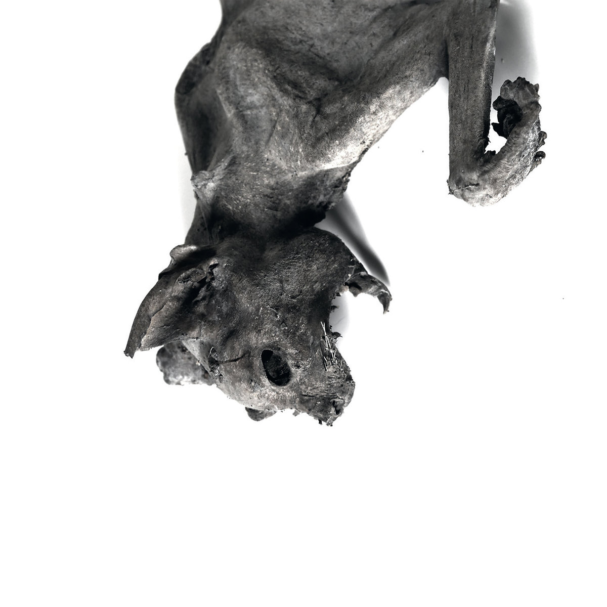 a2731671540_10 Nordvargr, "Metempsychosis"