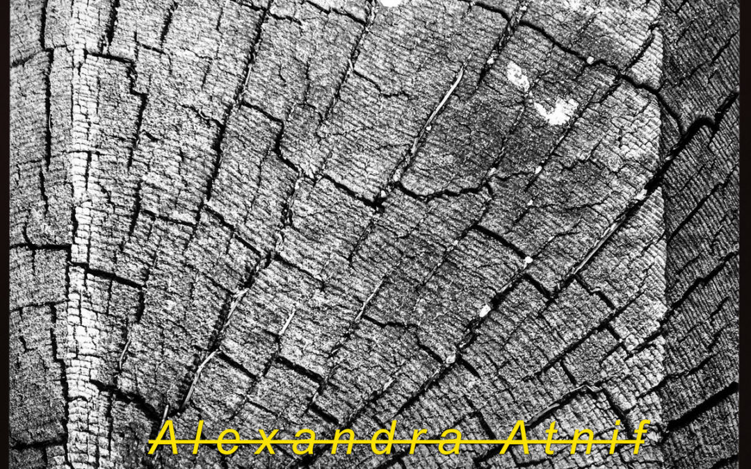 Alexandra Atnif, “Seekers Of The Void”