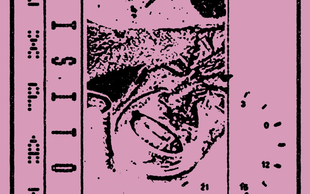 Visitor, “Expat”