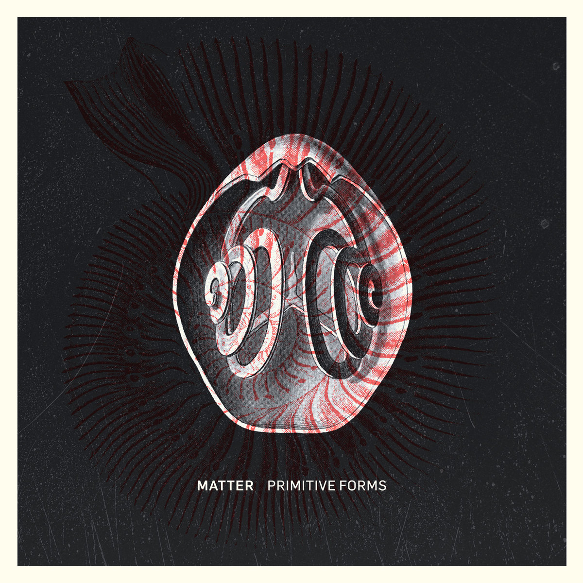 Matter, “Primitive Forms”