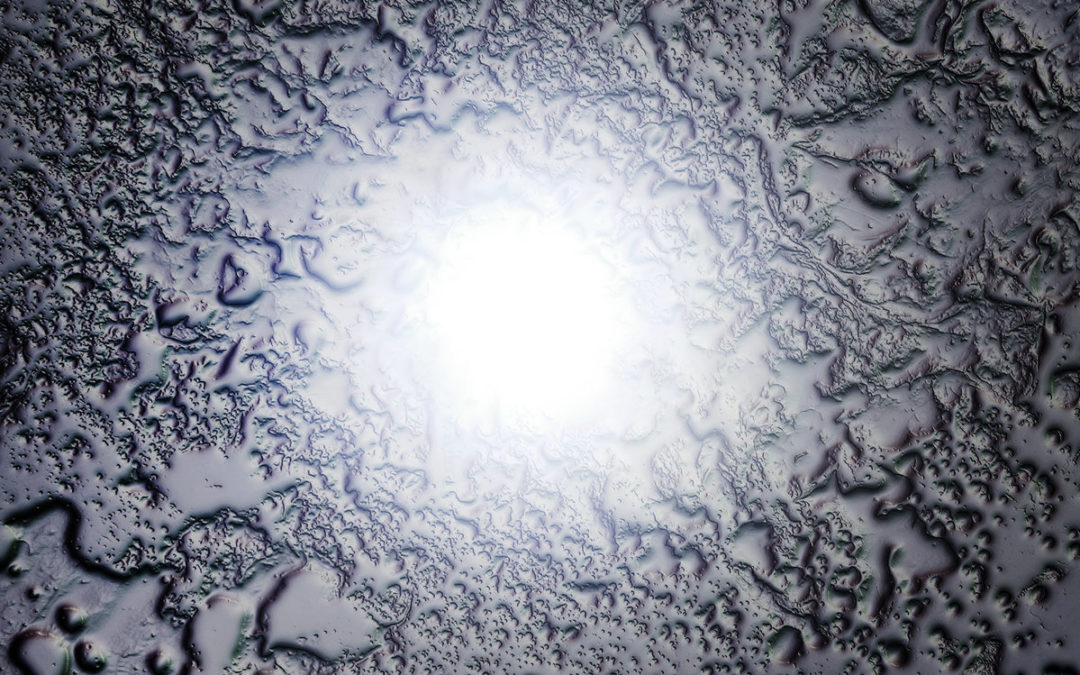 Observer: Pod Blotz & Deadframe