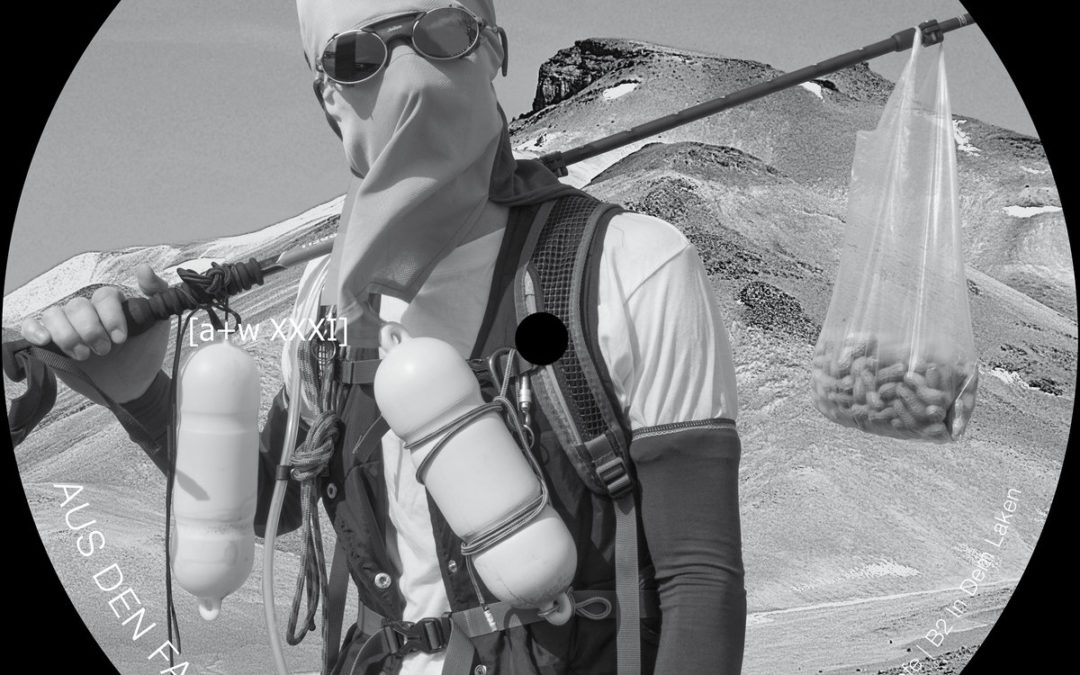 Observer: Schwefelgelb & Fractions