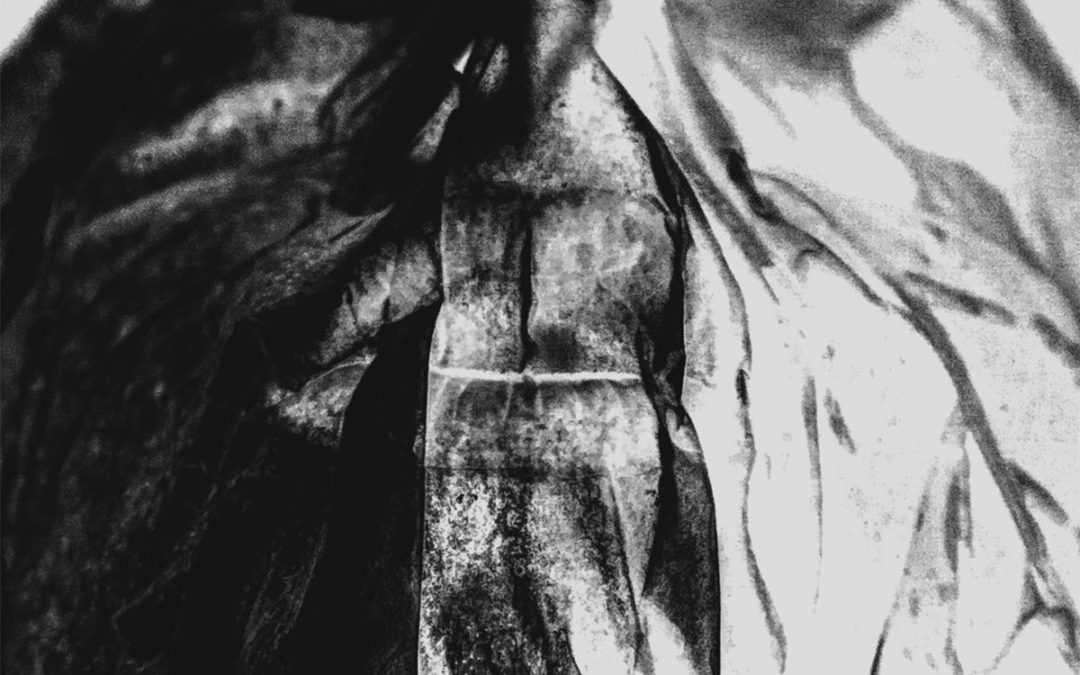 HØRD, “Parallels”