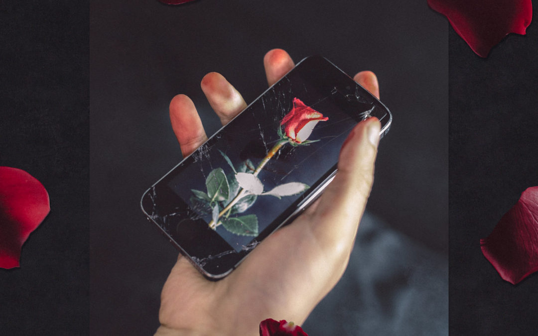 Observer: Joel Eel + Randolph & Mortimer