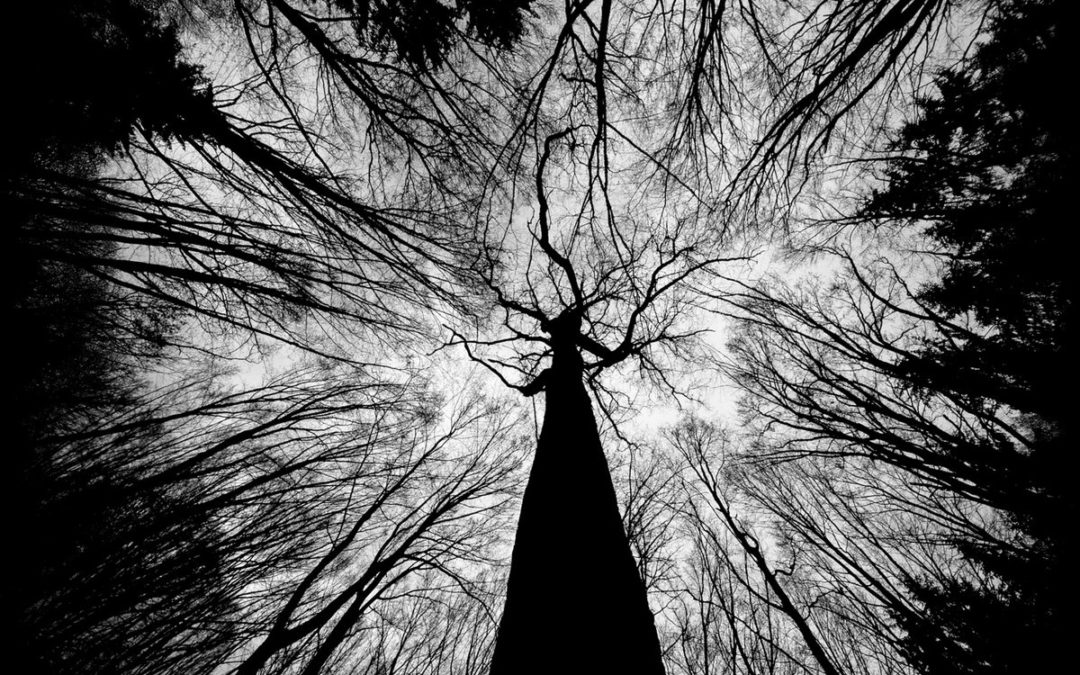 Iszoloscope, “All Is Immensity And Chaos”