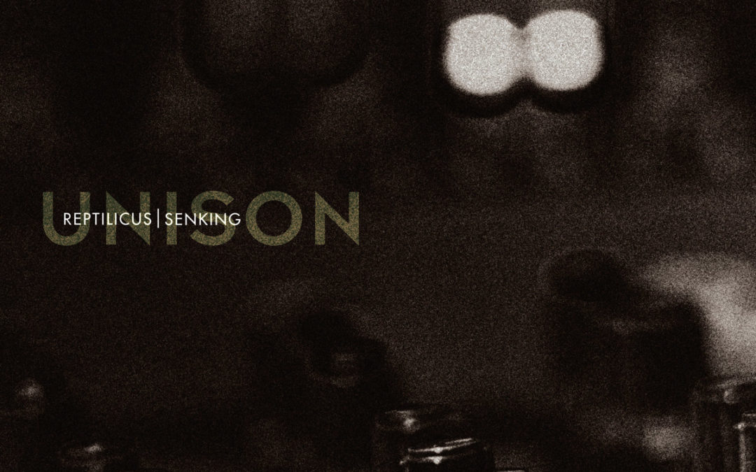 Reptilicus & Senking, “Unison”