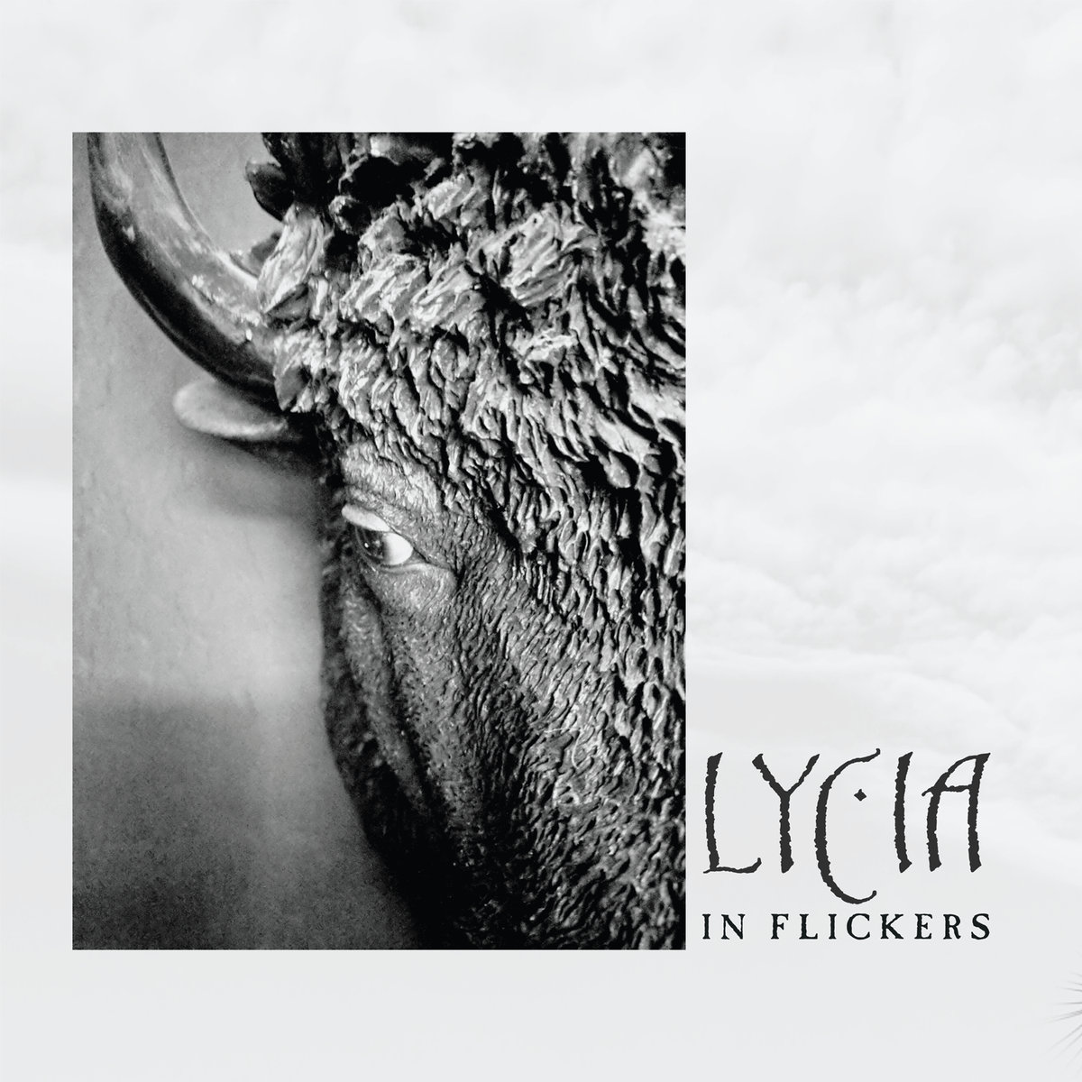 Lycia, “In Flickers”