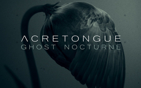 Acretongue, “Ghost Nocturne”