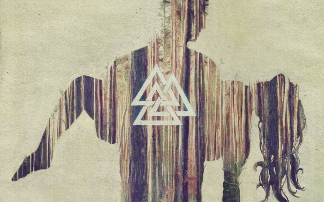 Run Level Zero, “Swaerm”