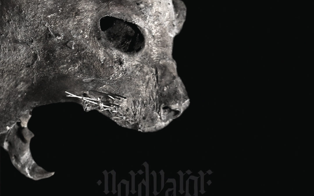 Observer: Nordvargr & Black Sun Dreamer