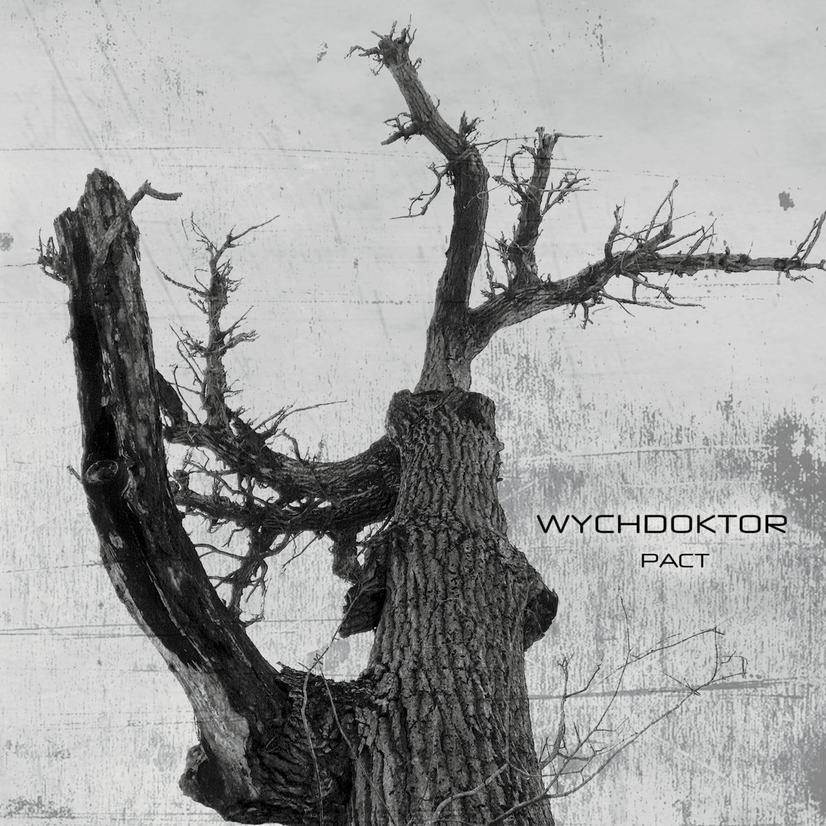 Wychdoktor, “Pact”