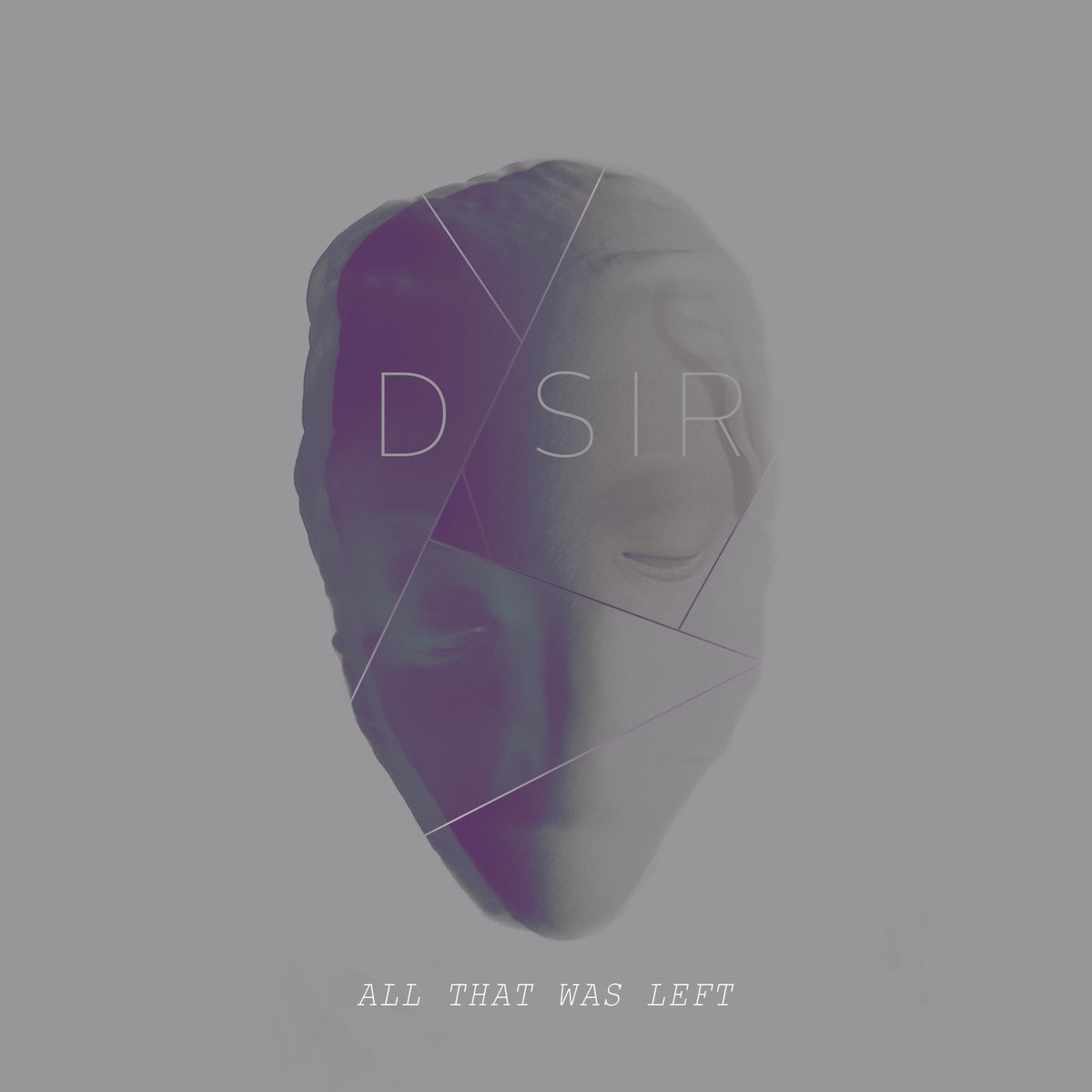 D/SIR, “All That Was Left”