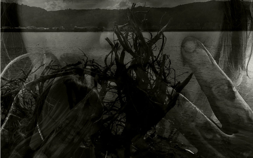 Terror Apart, “Belly Of Barghest”