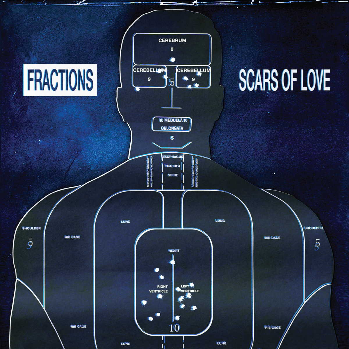 Observer: Fractions & Meipr