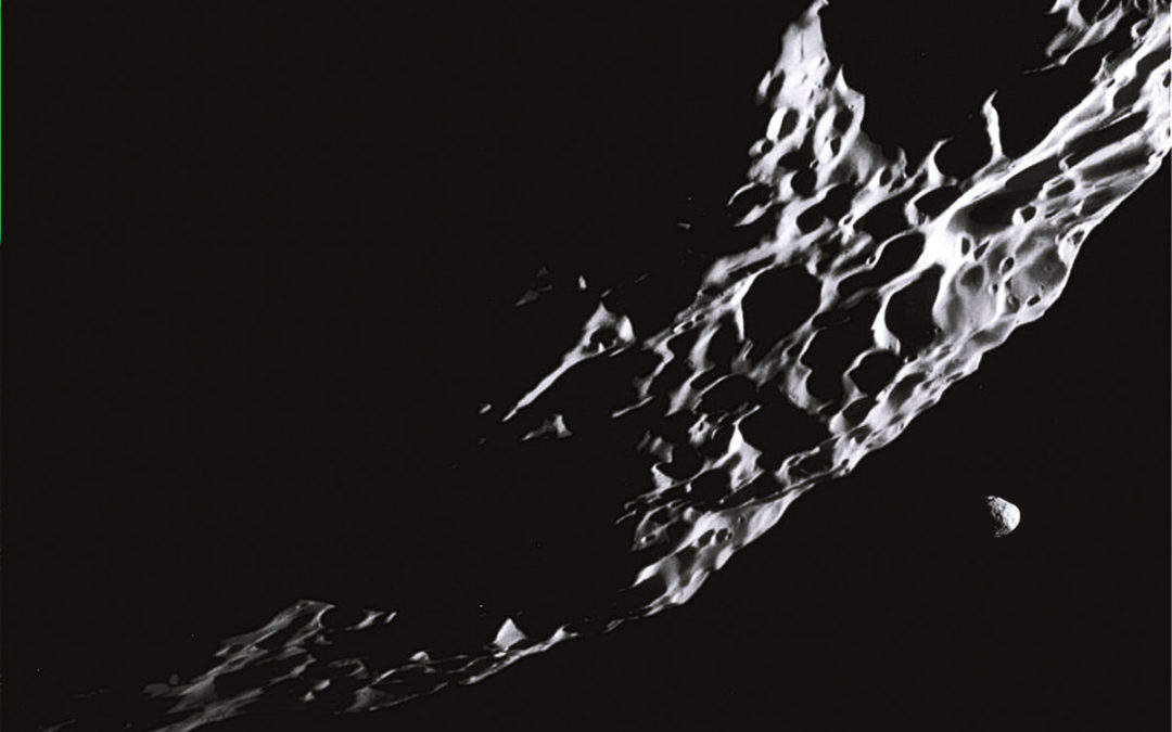 Observer: Witch Root & Luminance