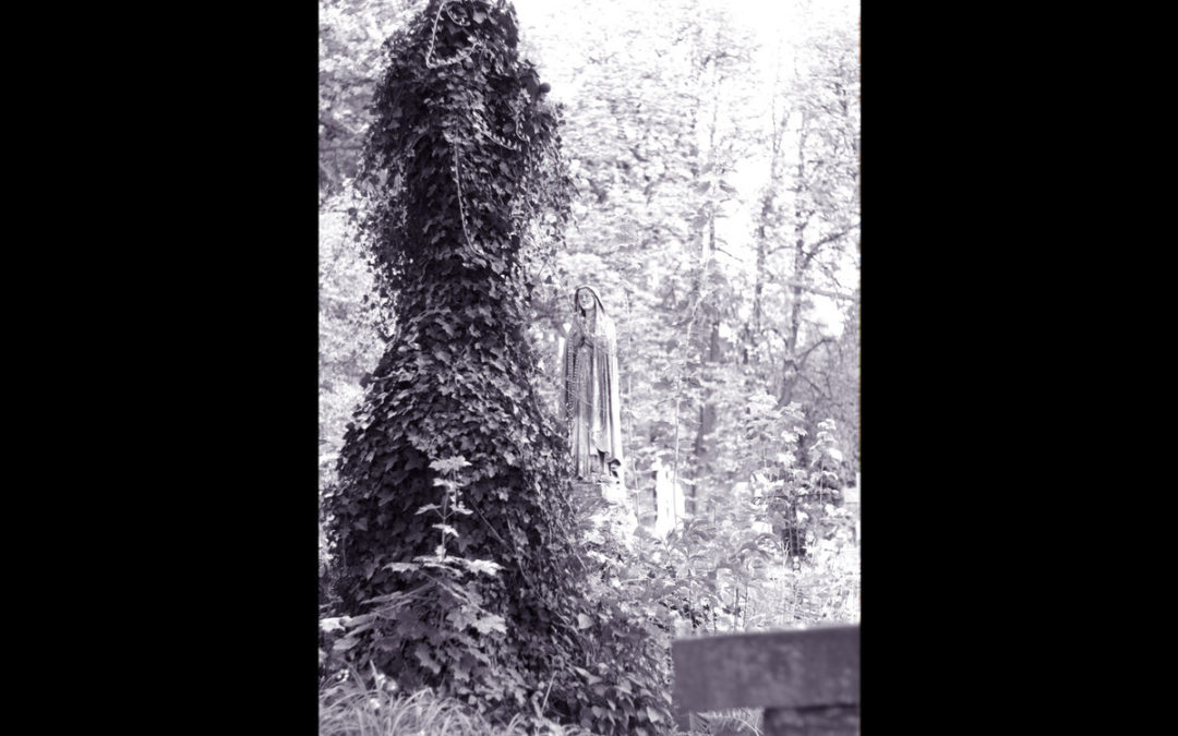 Amrou Kithkin, “Sensorless”