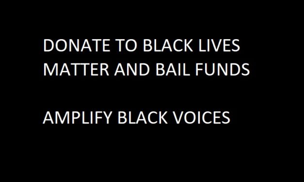 DONATE TO BLACK LIVES MATTER, DONATE TO BAIL FUNDS