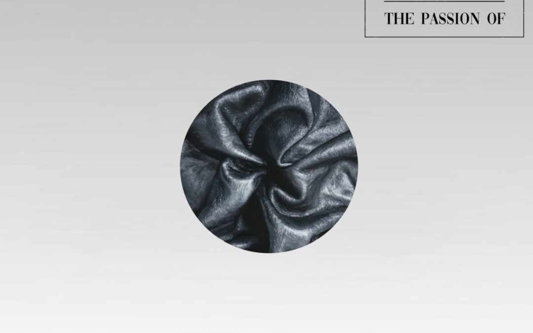 Special Interest, “The Passion Of”