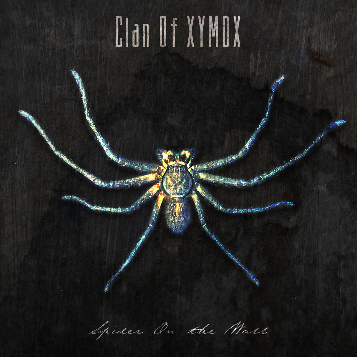 Clan of Xymox, “Spider on the Wall”