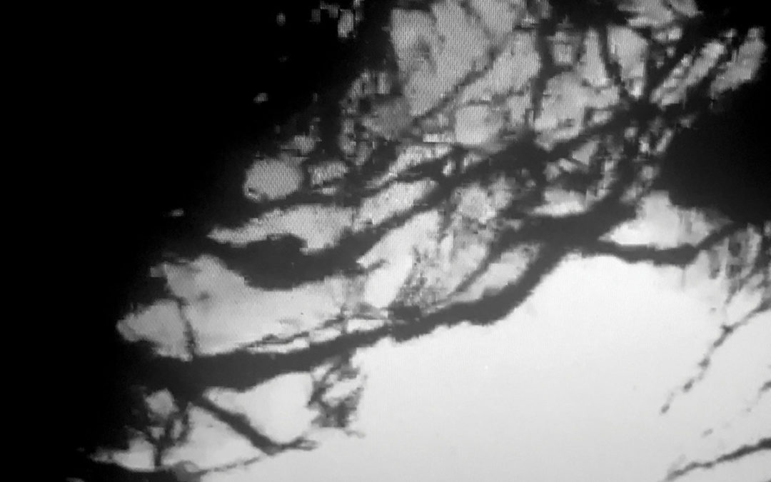Statiqbloom, “Beneath The Whelm”