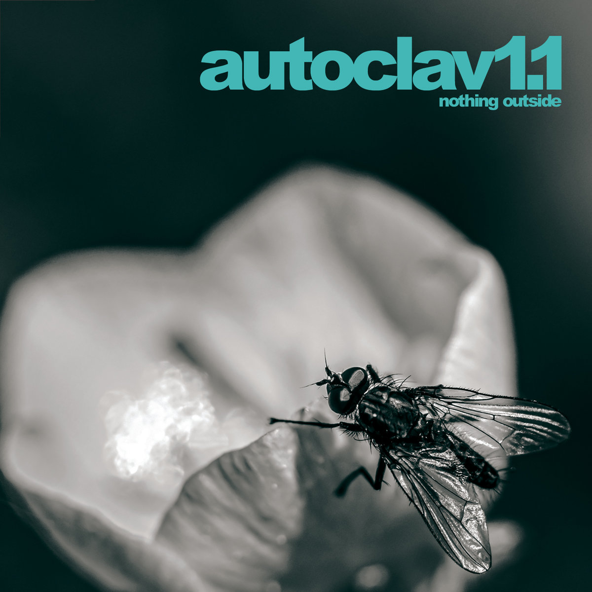 Autoclav1.1, “Nothing Outside”