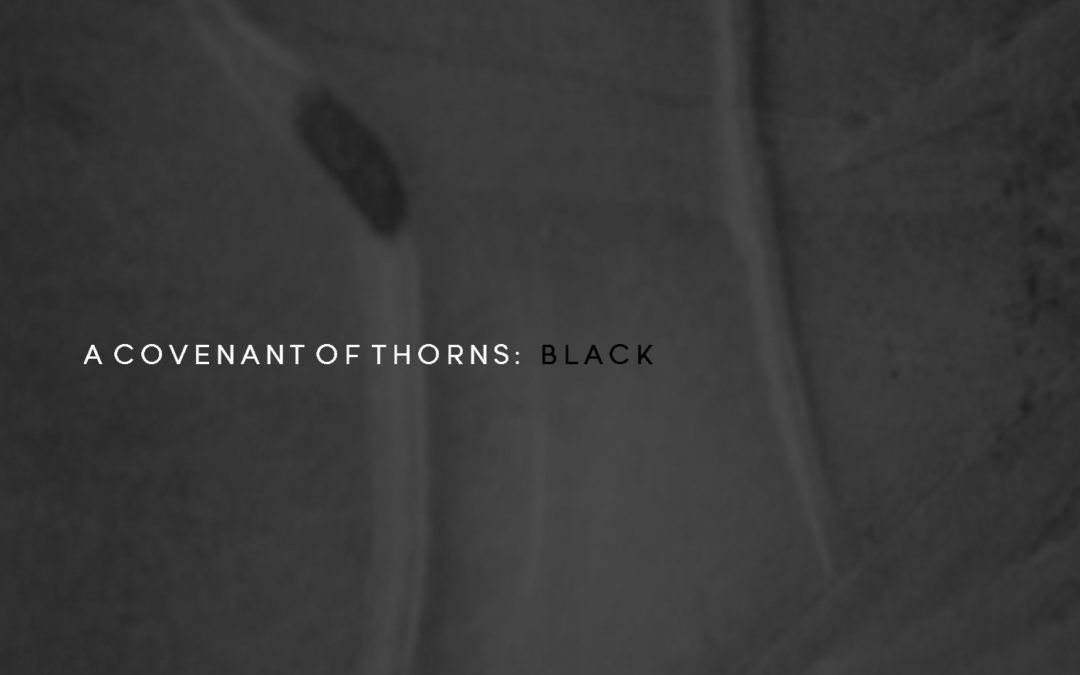 A Covenant Of Thorns, “Black”