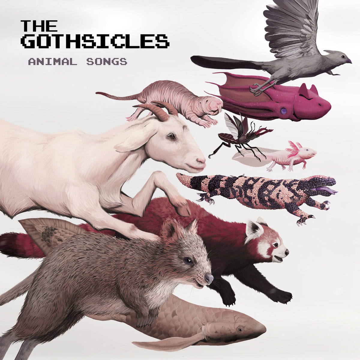 The Gothsicles, “Animal Songs”