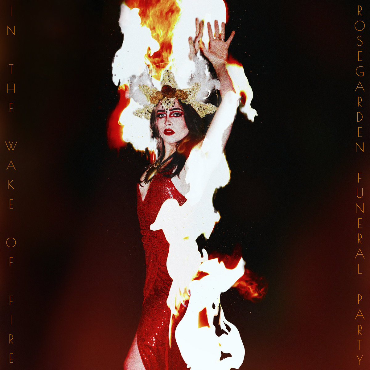 Rosegarden Funeral Party, “In the Wake of Fire”