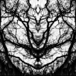 Blakmoth - Phantom Limb