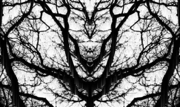 Blakmoth, “Phantom Limb”