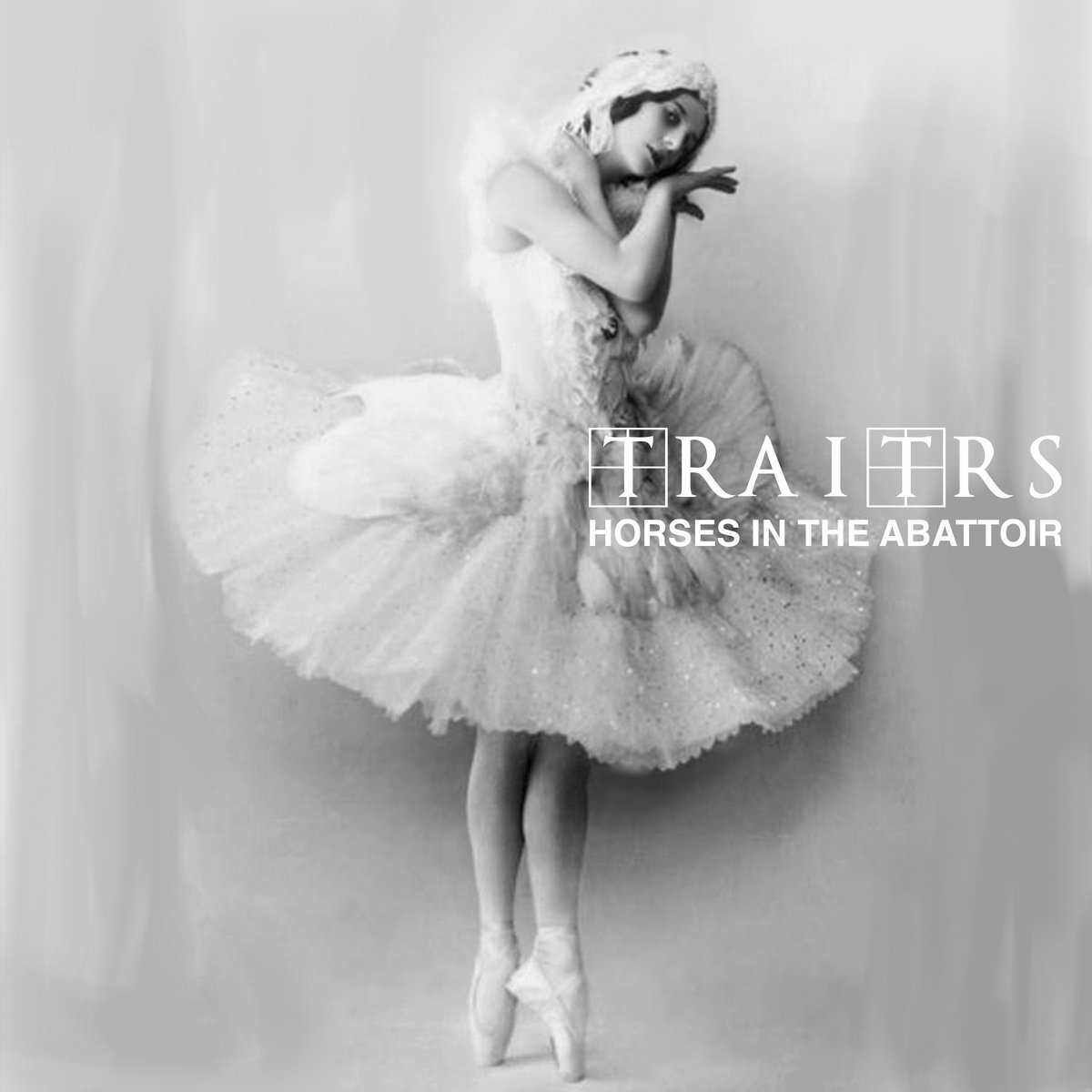 Traitrs, “Horses in the Abbatoir”