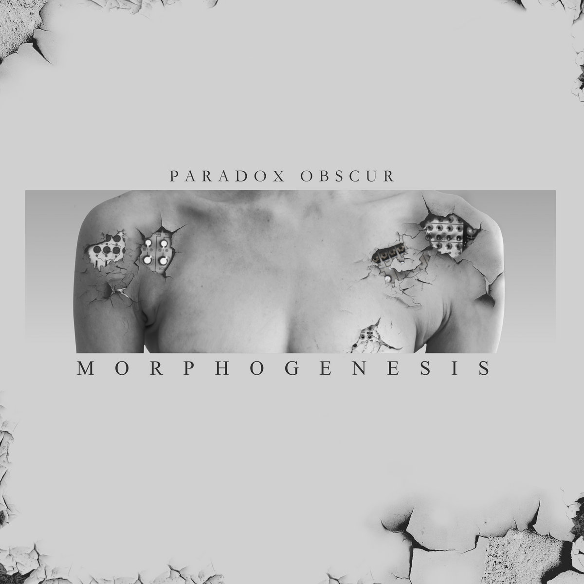 Paradox Obscur, “Morphogenesis”