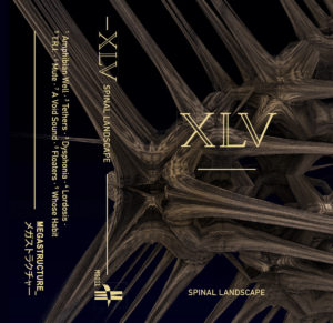 XLV - Spinal Landscape