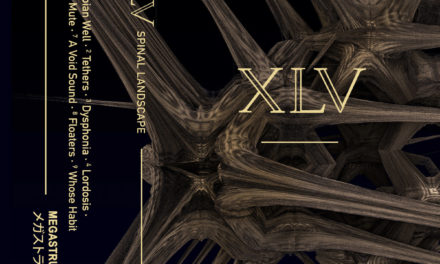 XLV, “Spinal Landscape”