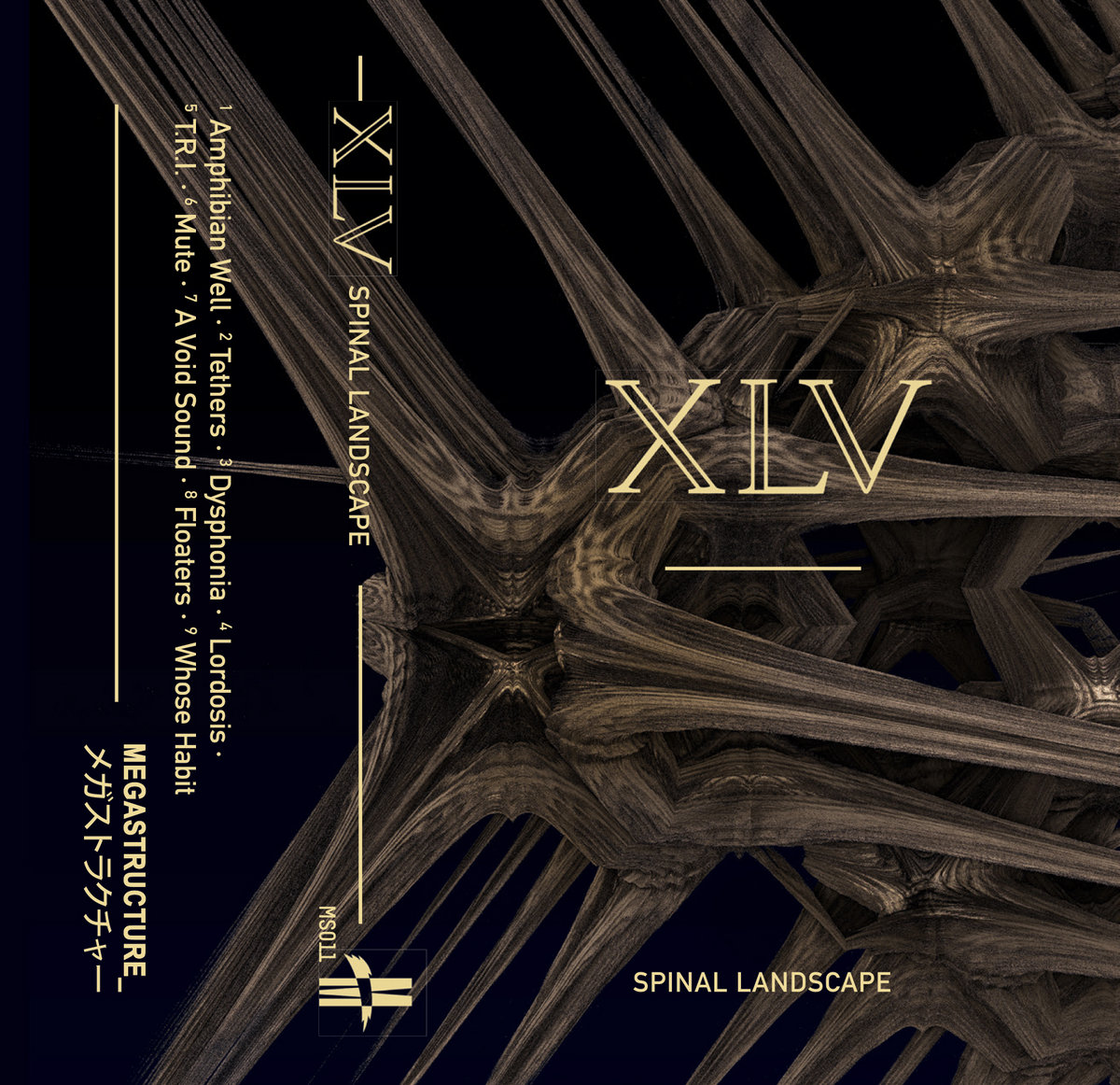 XLV, “Spinal Landscape”