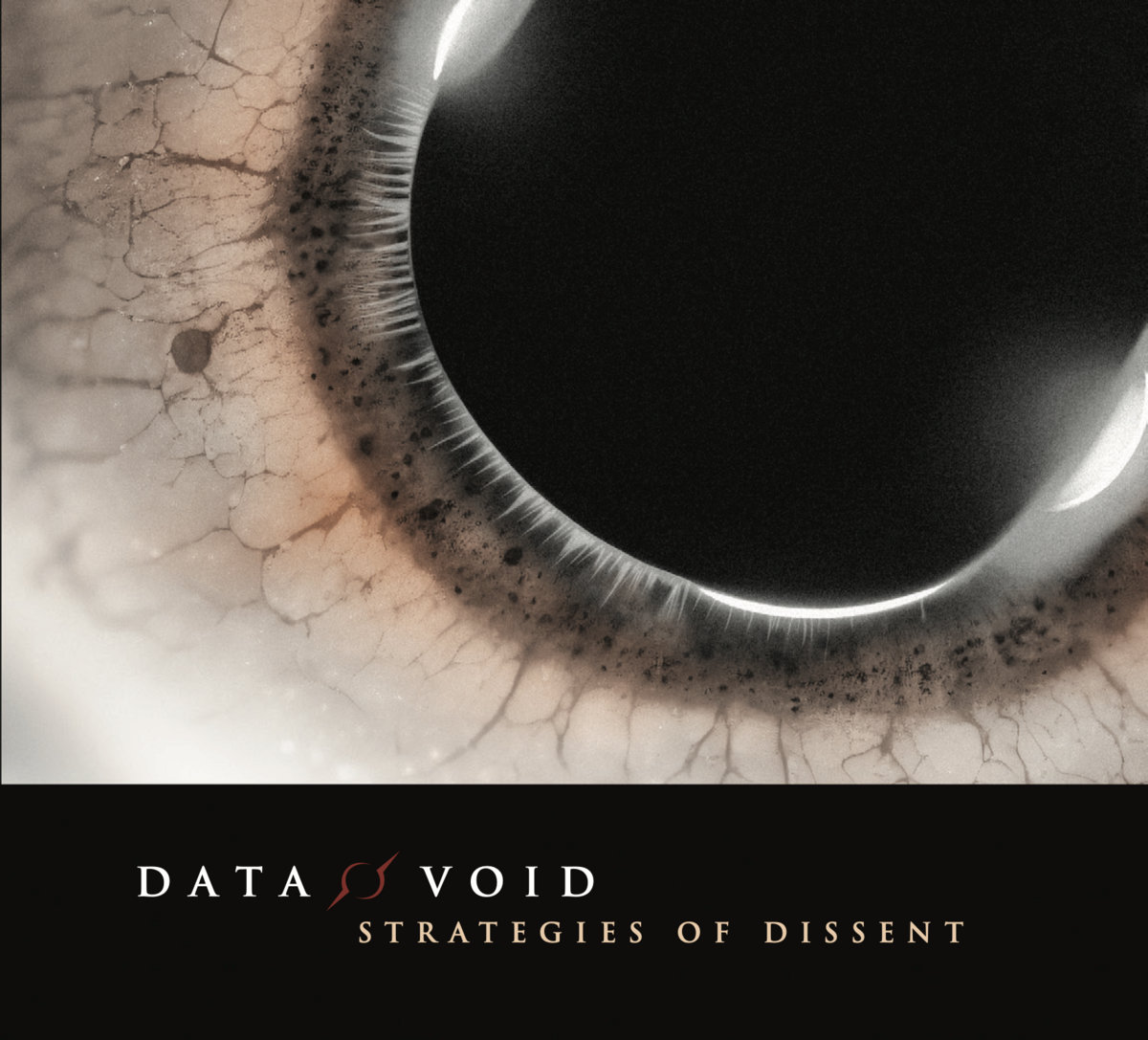 Data Void, “Strategies of Dissent”
