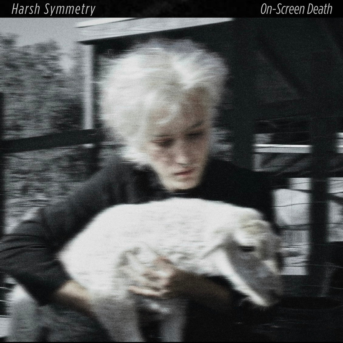 Harsh Symmetry, “On-Screen Death”