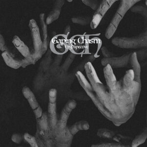 Gaping Chasm - Ergospective