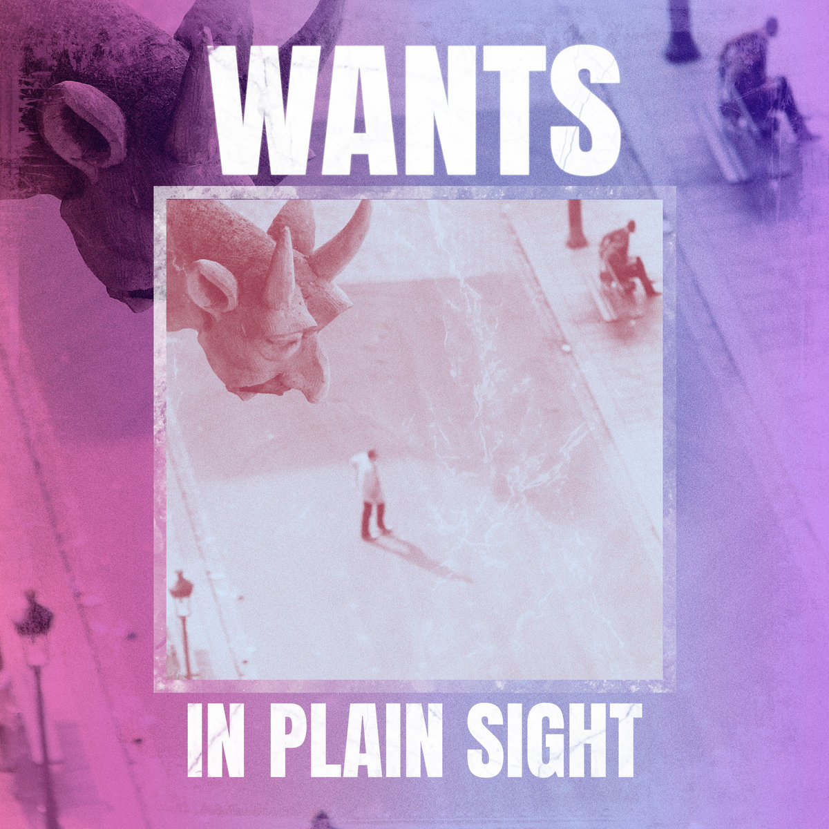 Wants, “In Plain Sight”