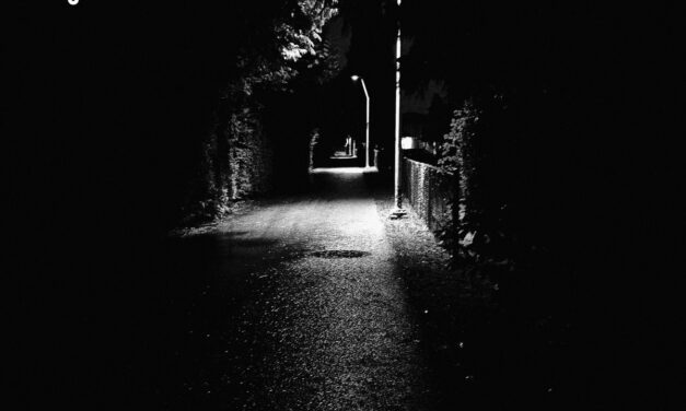 Observer: Statiqbloom & dormnt