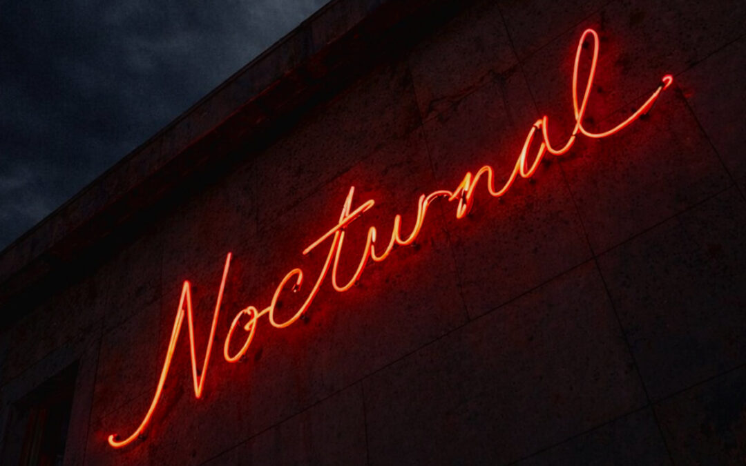 Grizz, “Nocturnal”