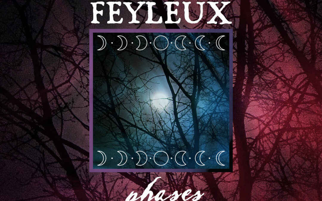 Observer: Feyleux & Body System