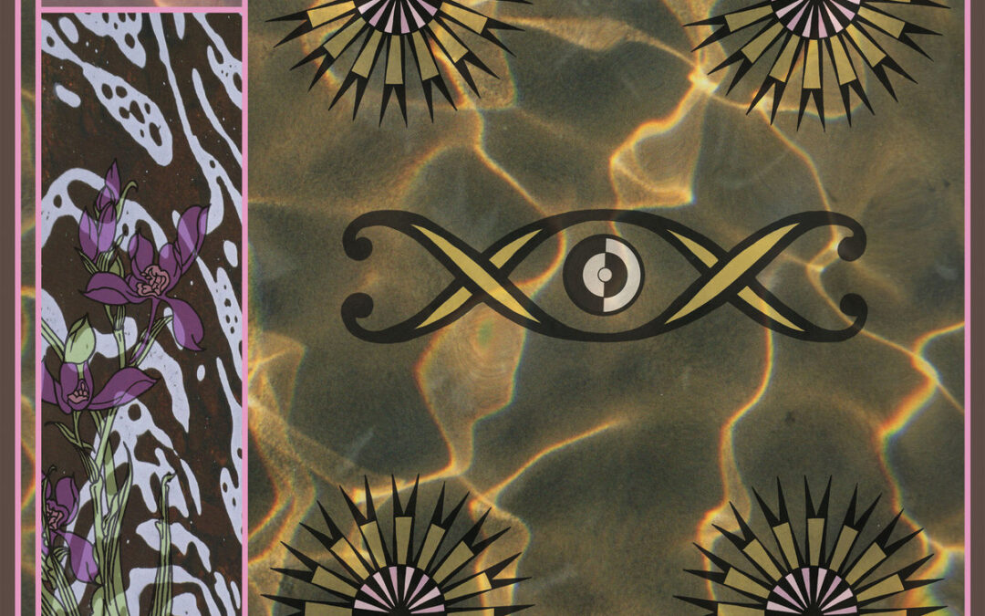 Observer: Group Rhoda & Nick Viola