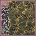 Observer: Group Rhoda & Nick Viola