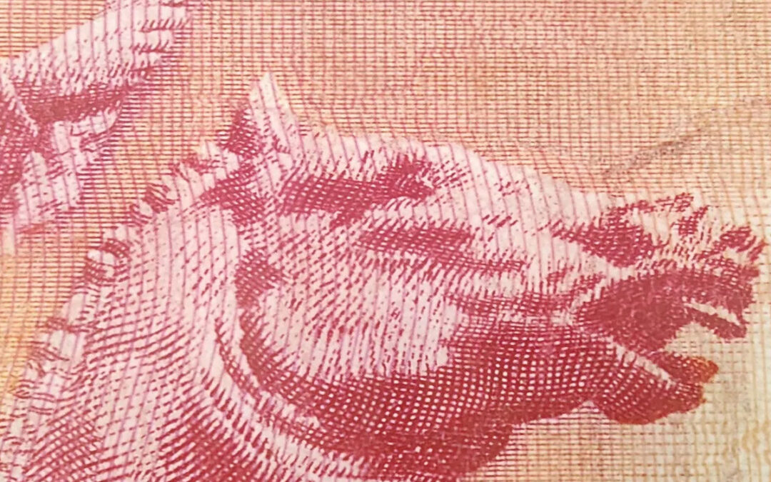 Observer: Mal-Ism & In The Nursery