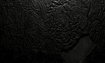 Statiqbloom, “The Casket Nest”